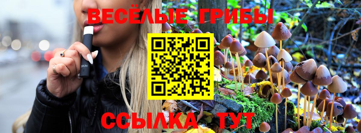 Псилоцибиновые грибы Psilocybe Тельмана